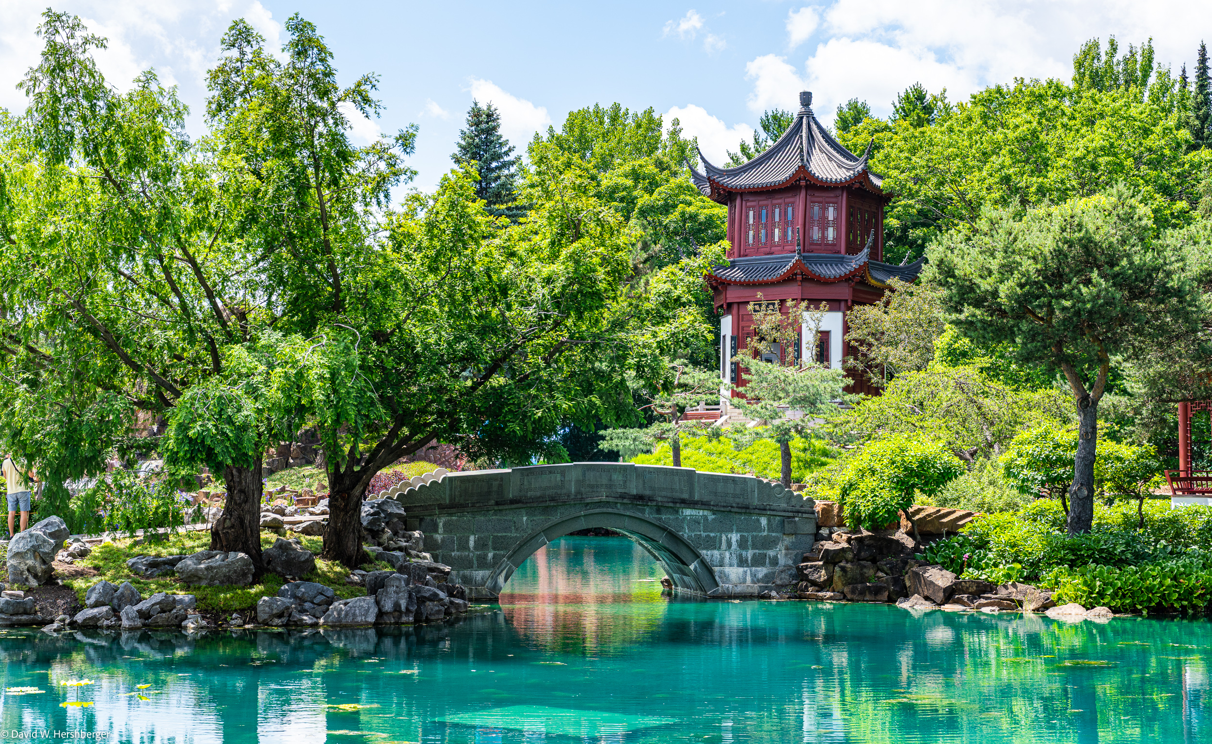 Chinese Garden.jpg