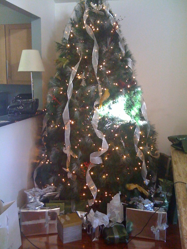 Christmas2008.jpg