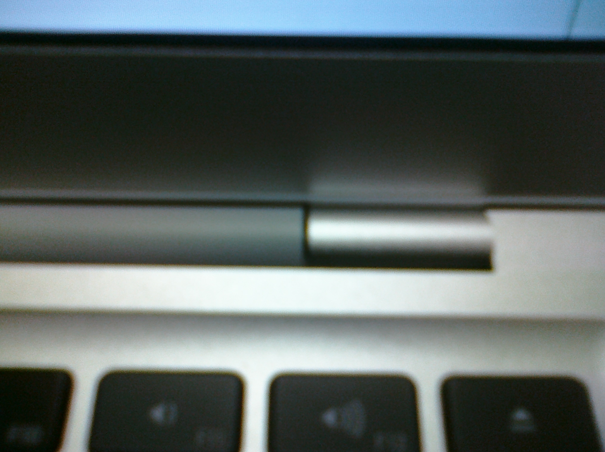 CIMG0025.jpg