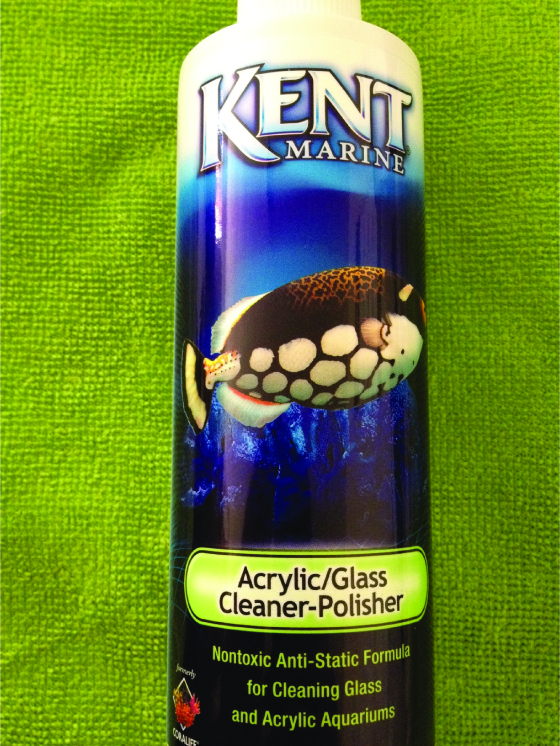 cleaner.jpg
