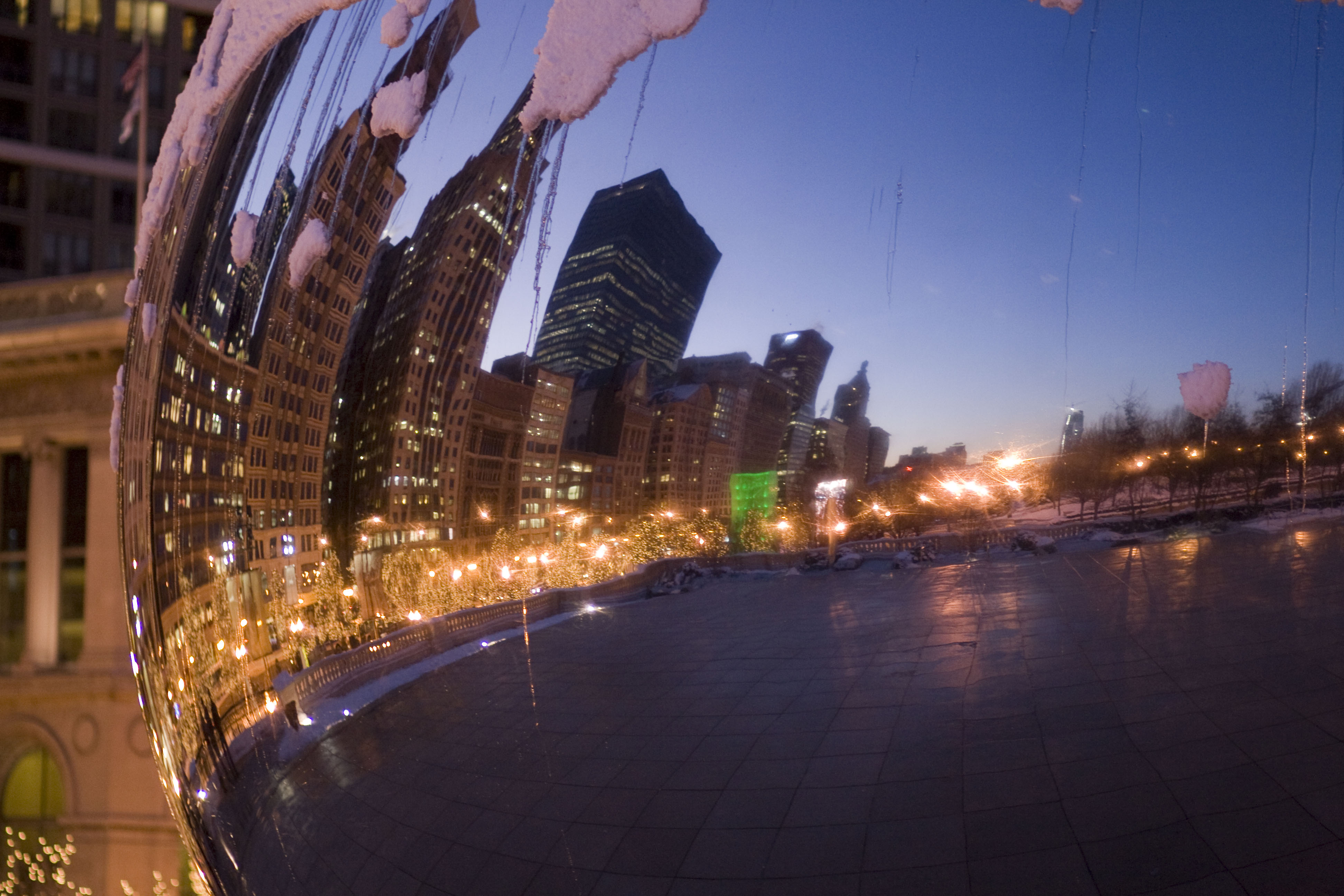 Close up of the bean (kate).jpg