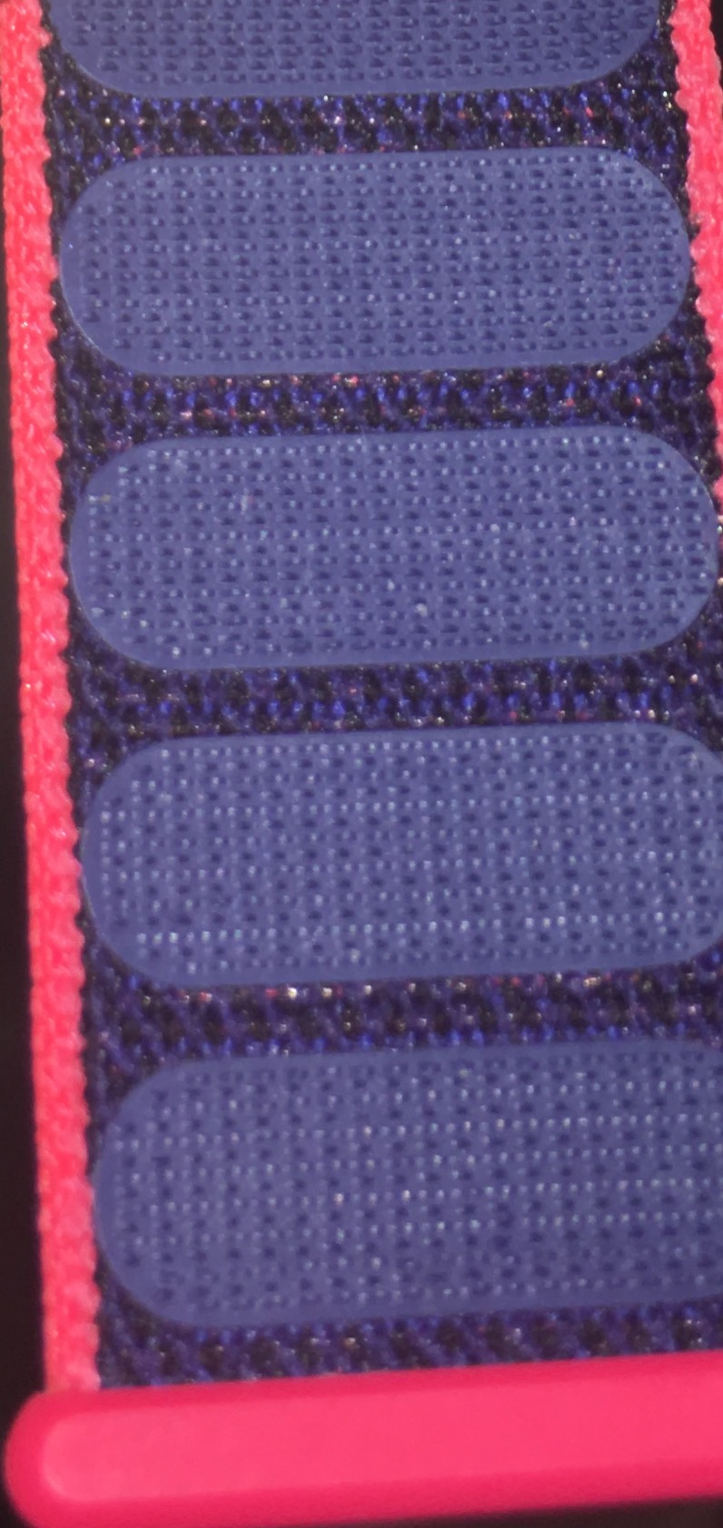 Closeup.jpg