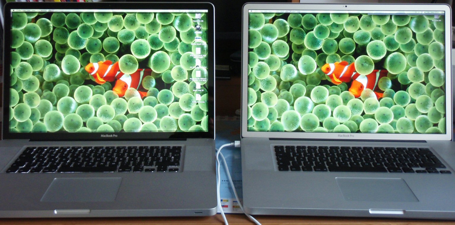 clownfish 1.jpg