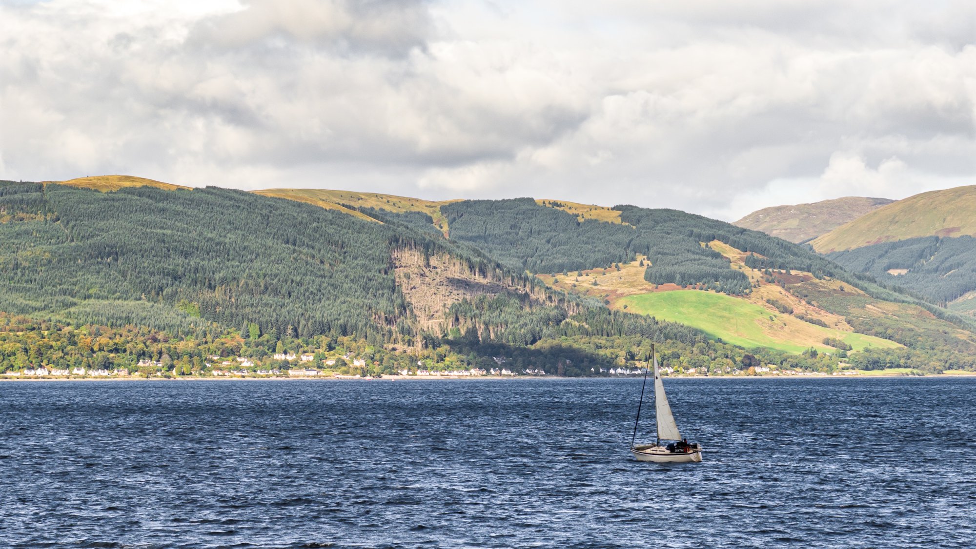 Clyde20250922-1.jpg