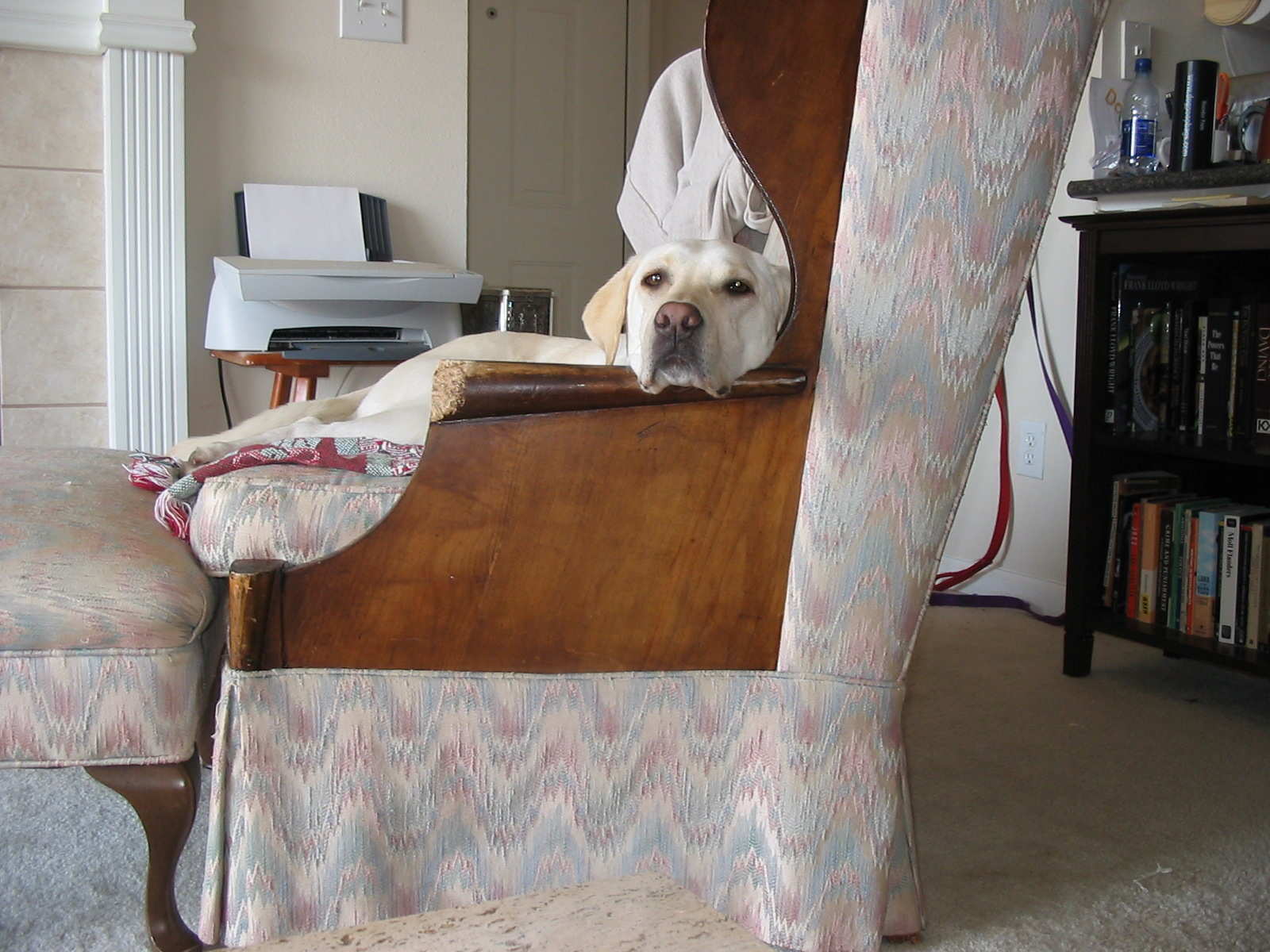 CM on chair.jpg