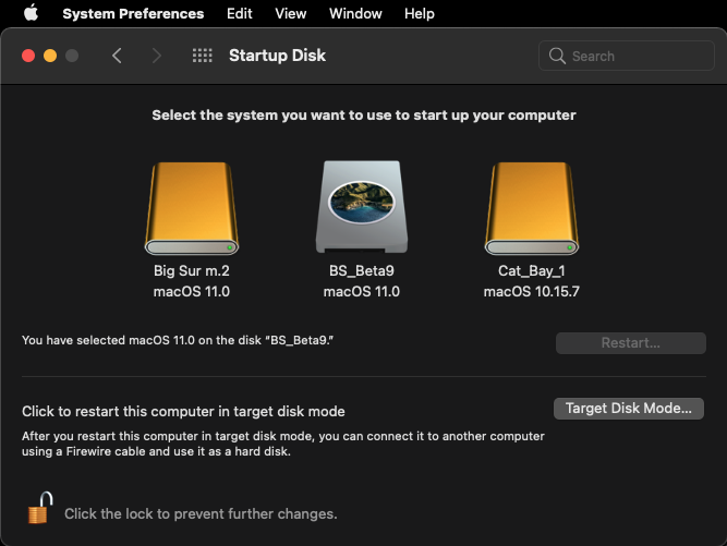 cMP Mid 2012 Big Sur Startup Disk 3.png