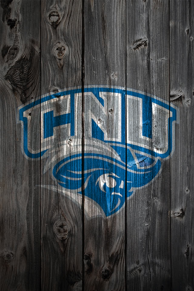 CNU Wood.png
