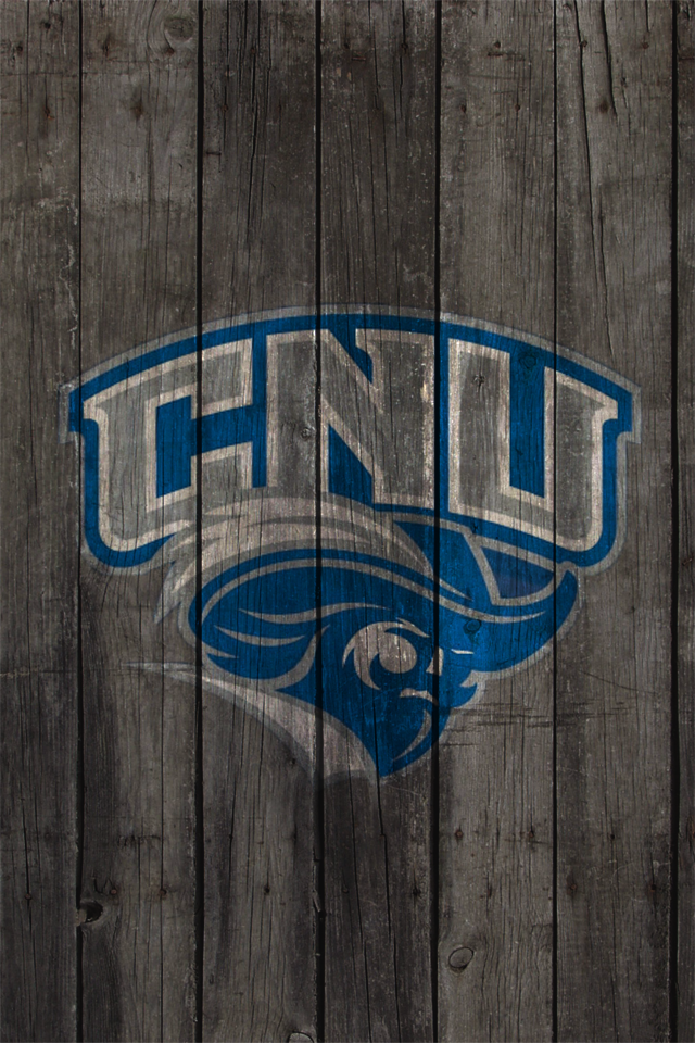 CNU Wood2.png