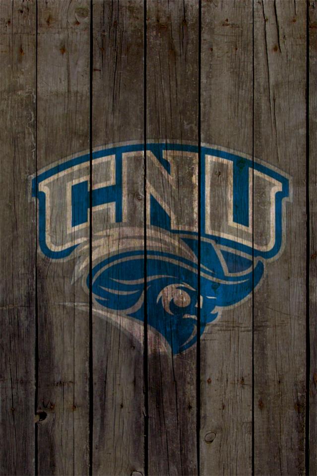 CNU Wood3.jpg