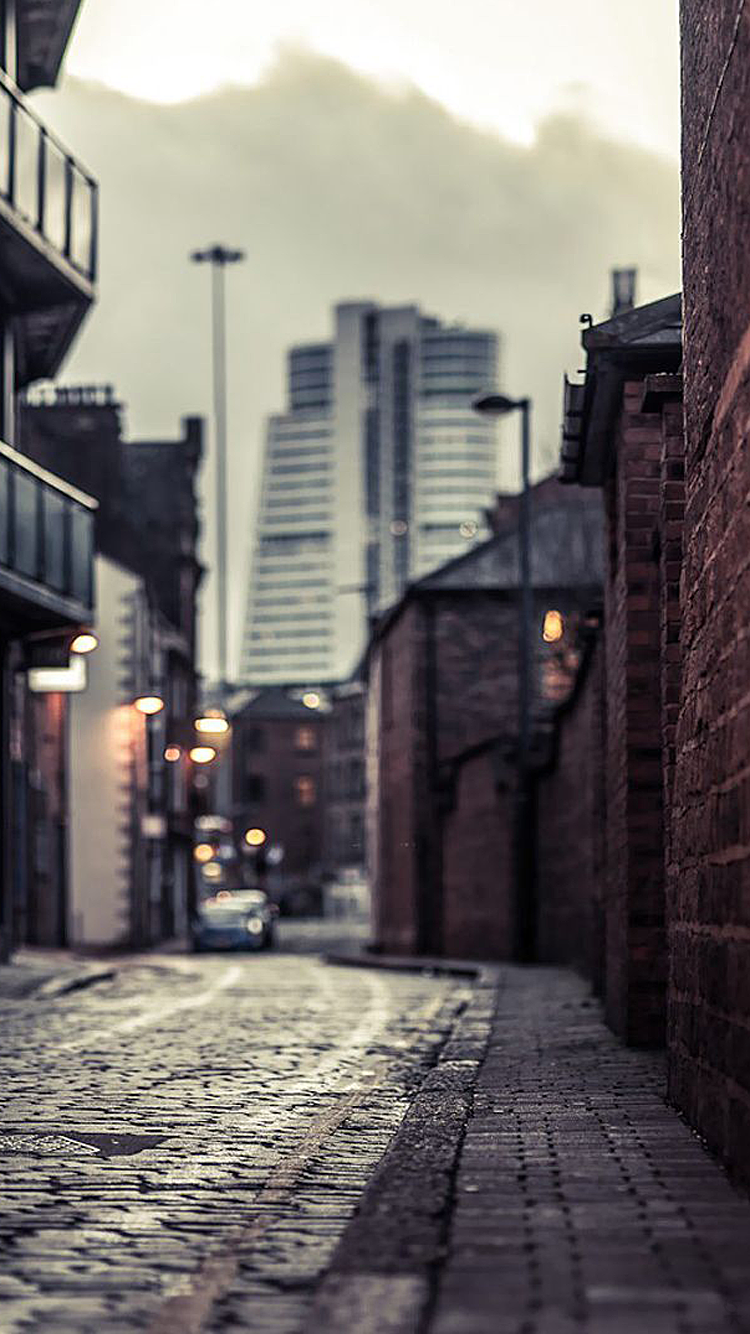 Cobblestone Street.png