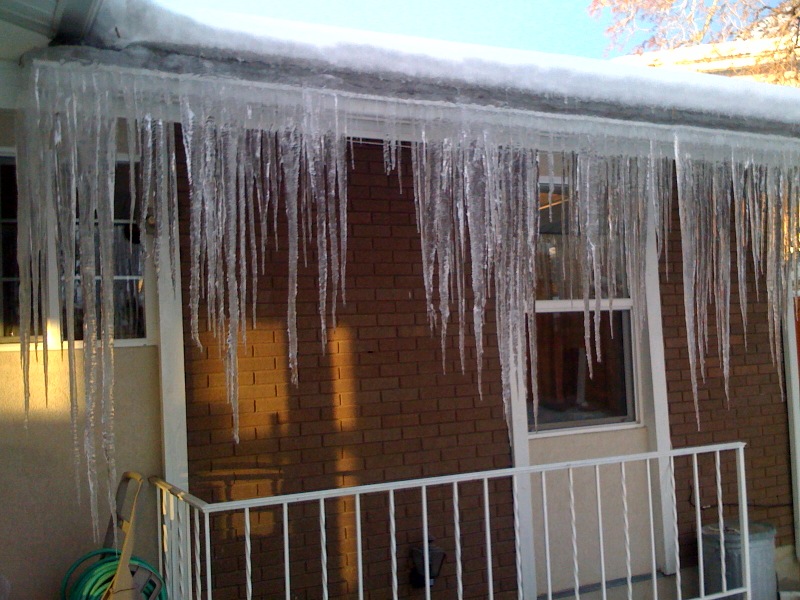 cold2.jpg