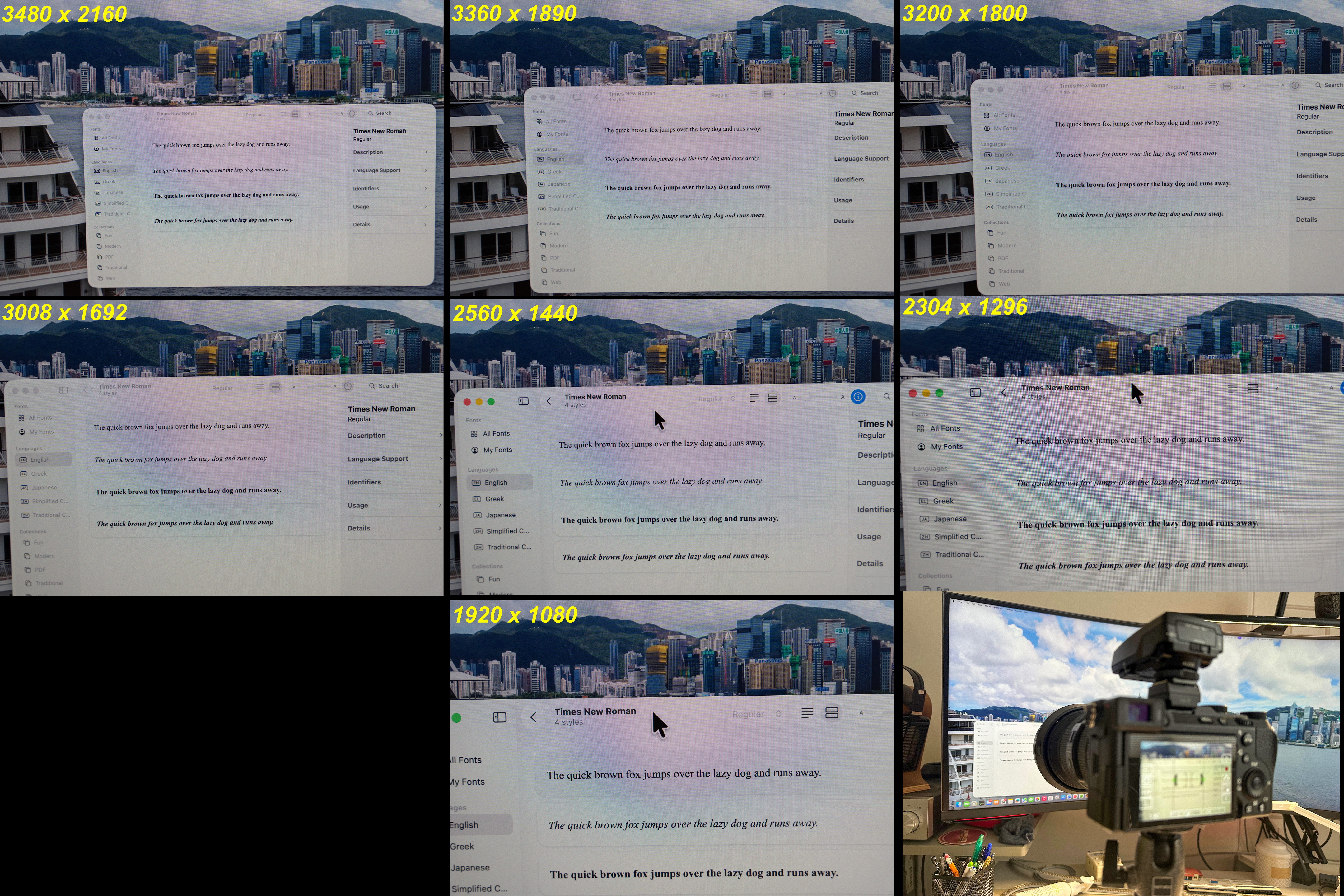 collage.jpg