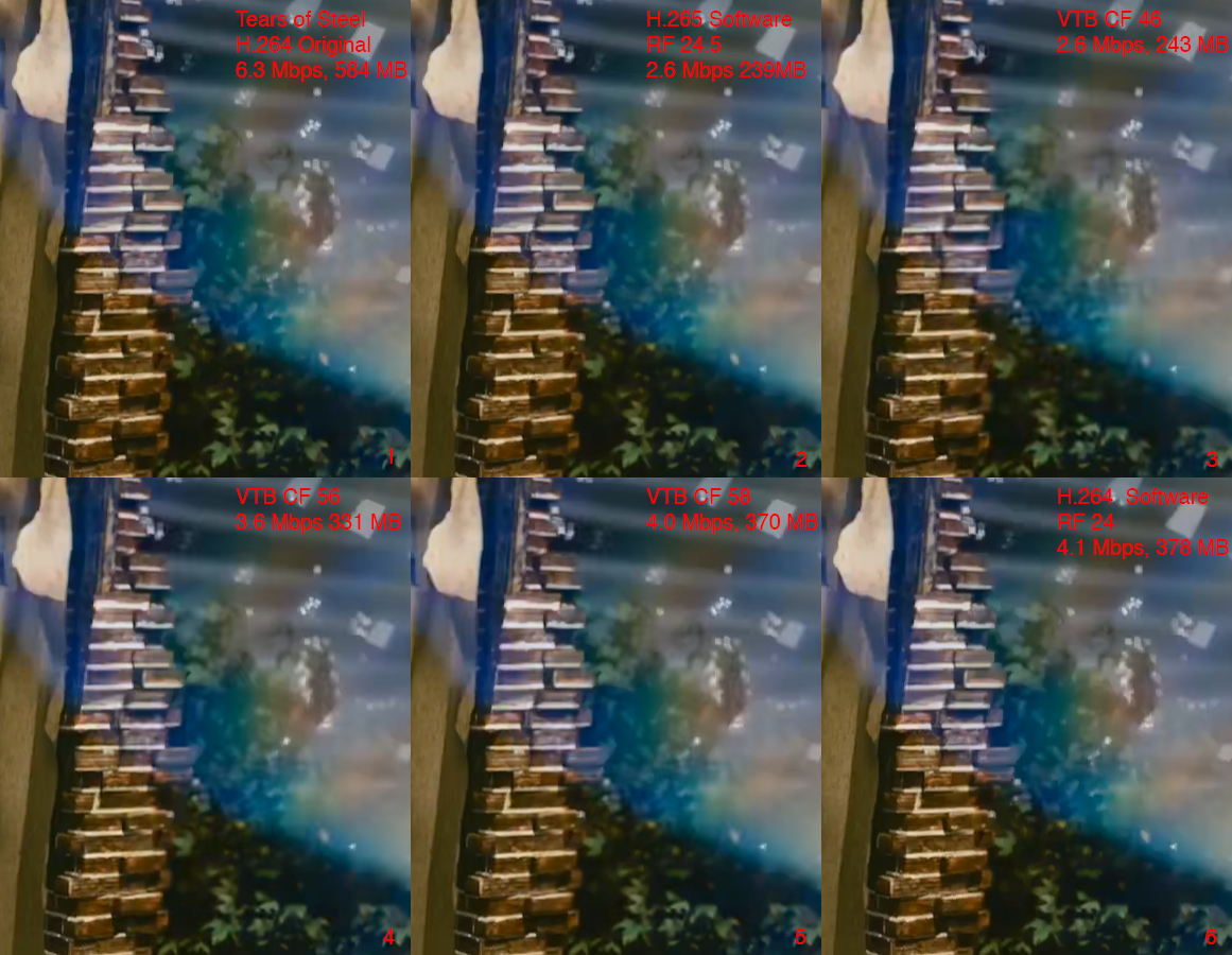 collage.png