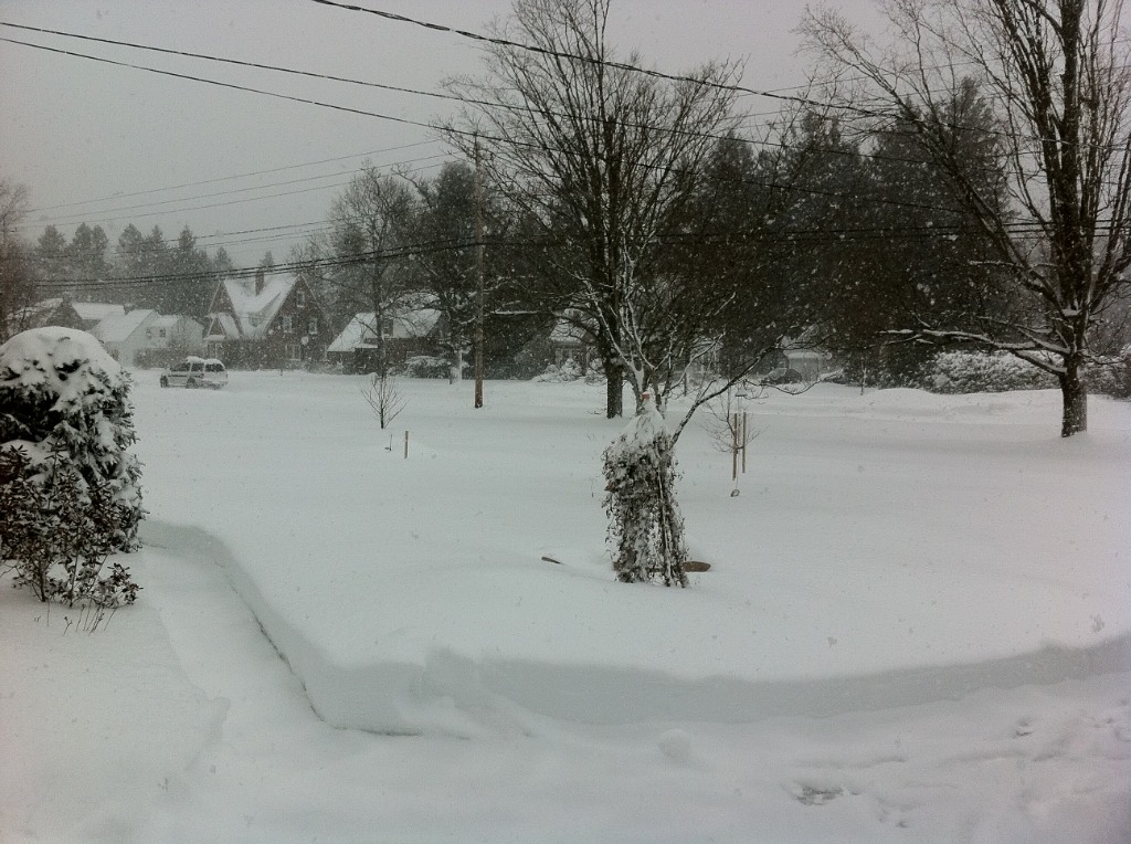 colored_snow.jpg