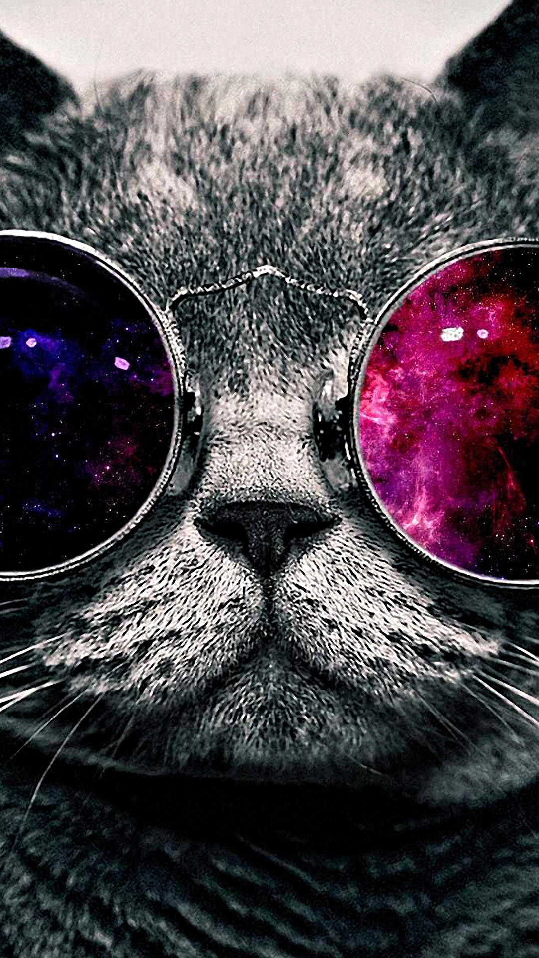 Cool Cat 03.png