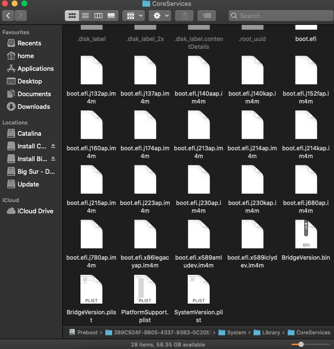 CoreServices in Preboot Vol.png