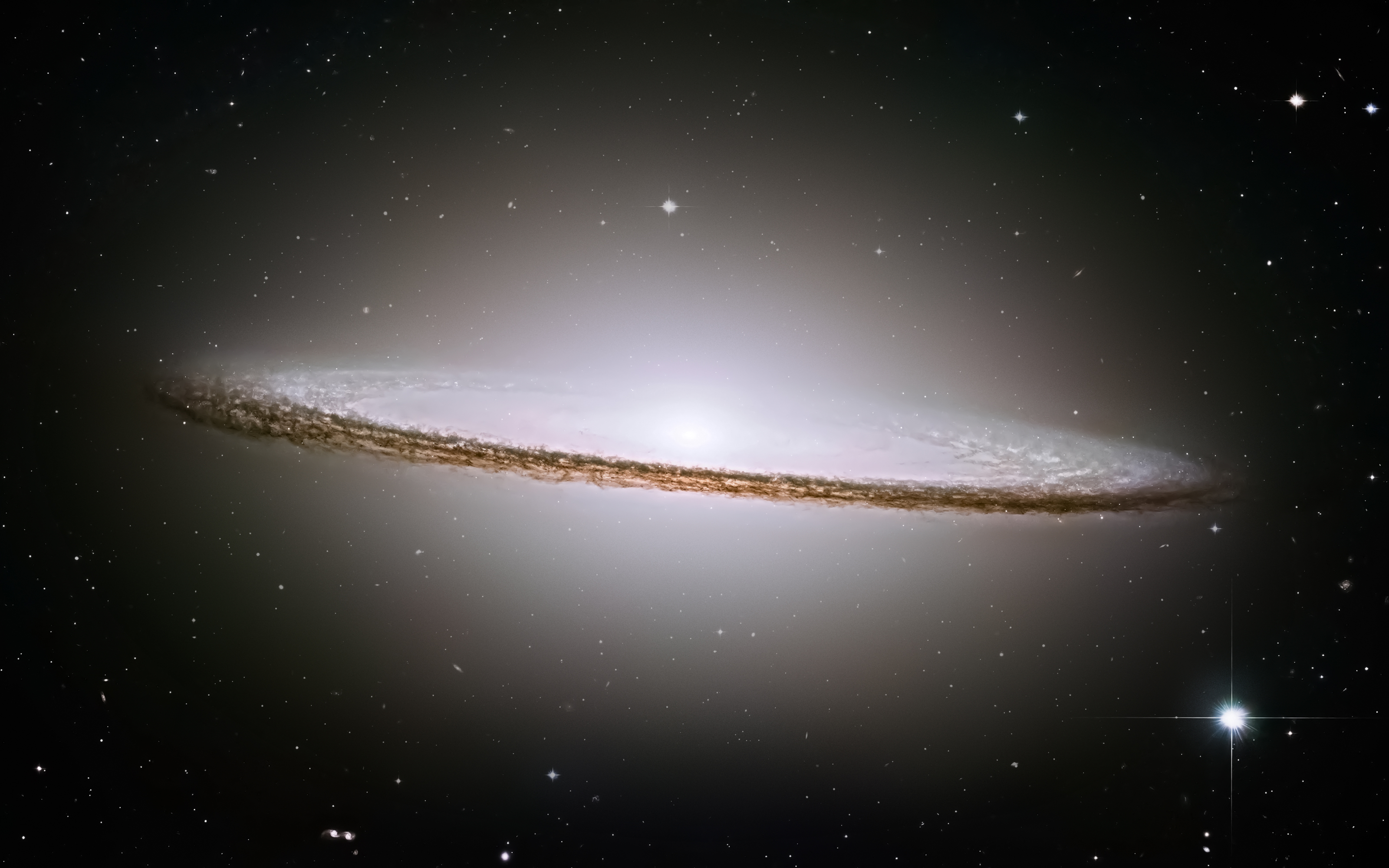 Cosmos 02.jpg