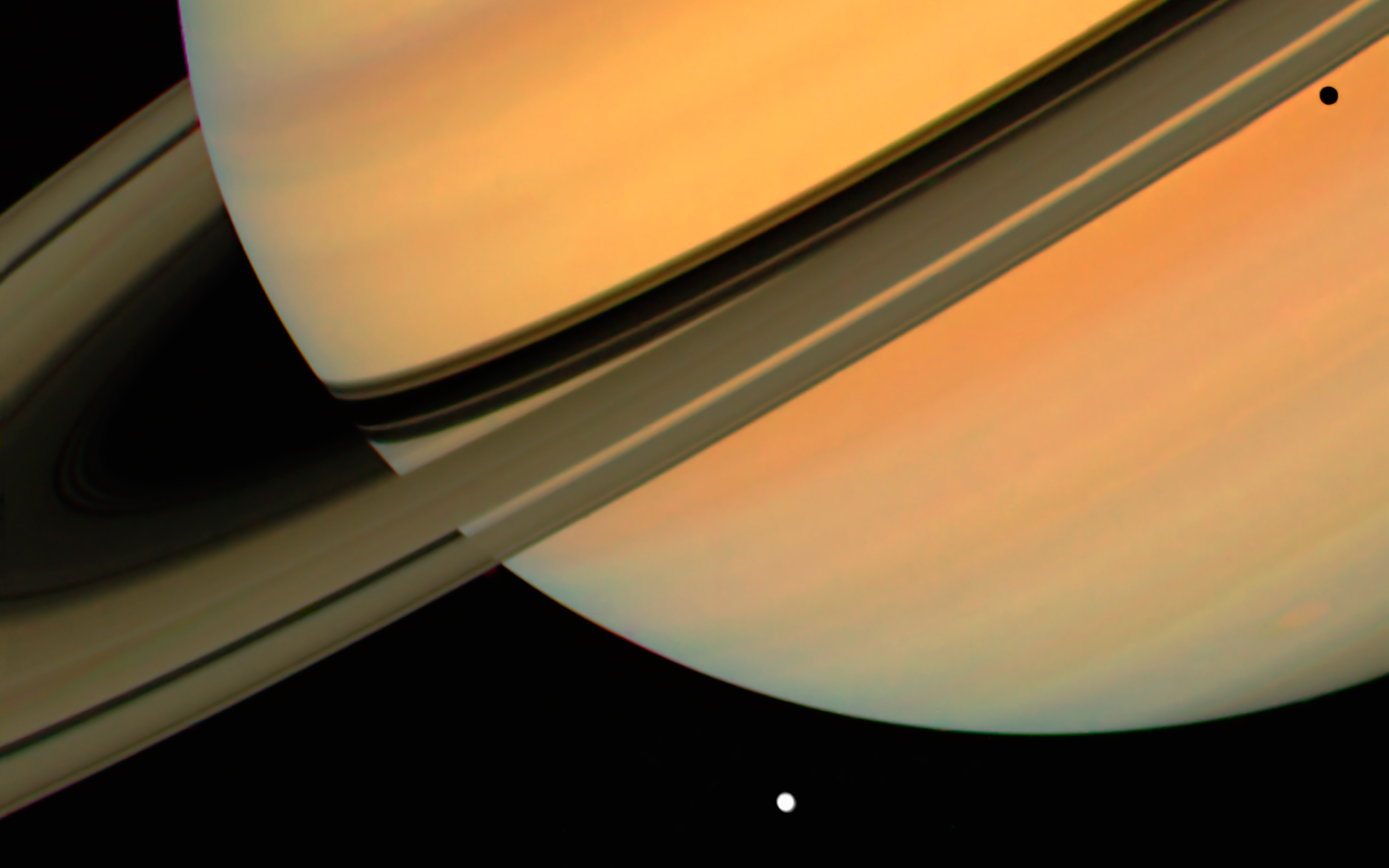 Cosmos 05.jpg