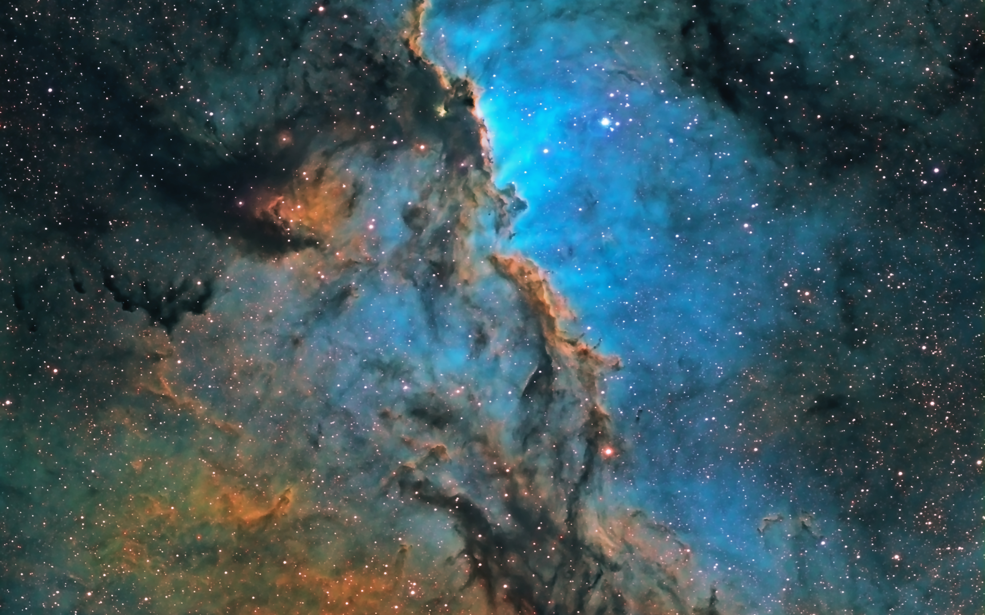 Cosmos 09.jpg