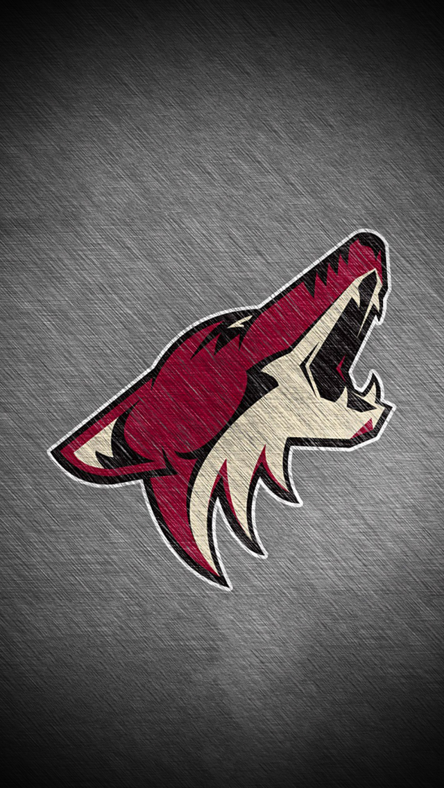 Coyote.jpg