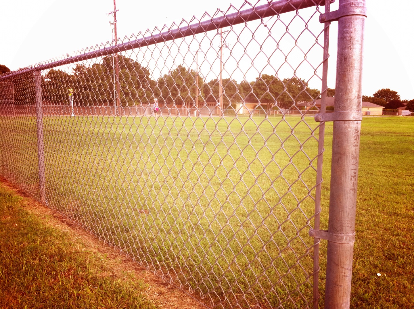 cphoto 2.JPG