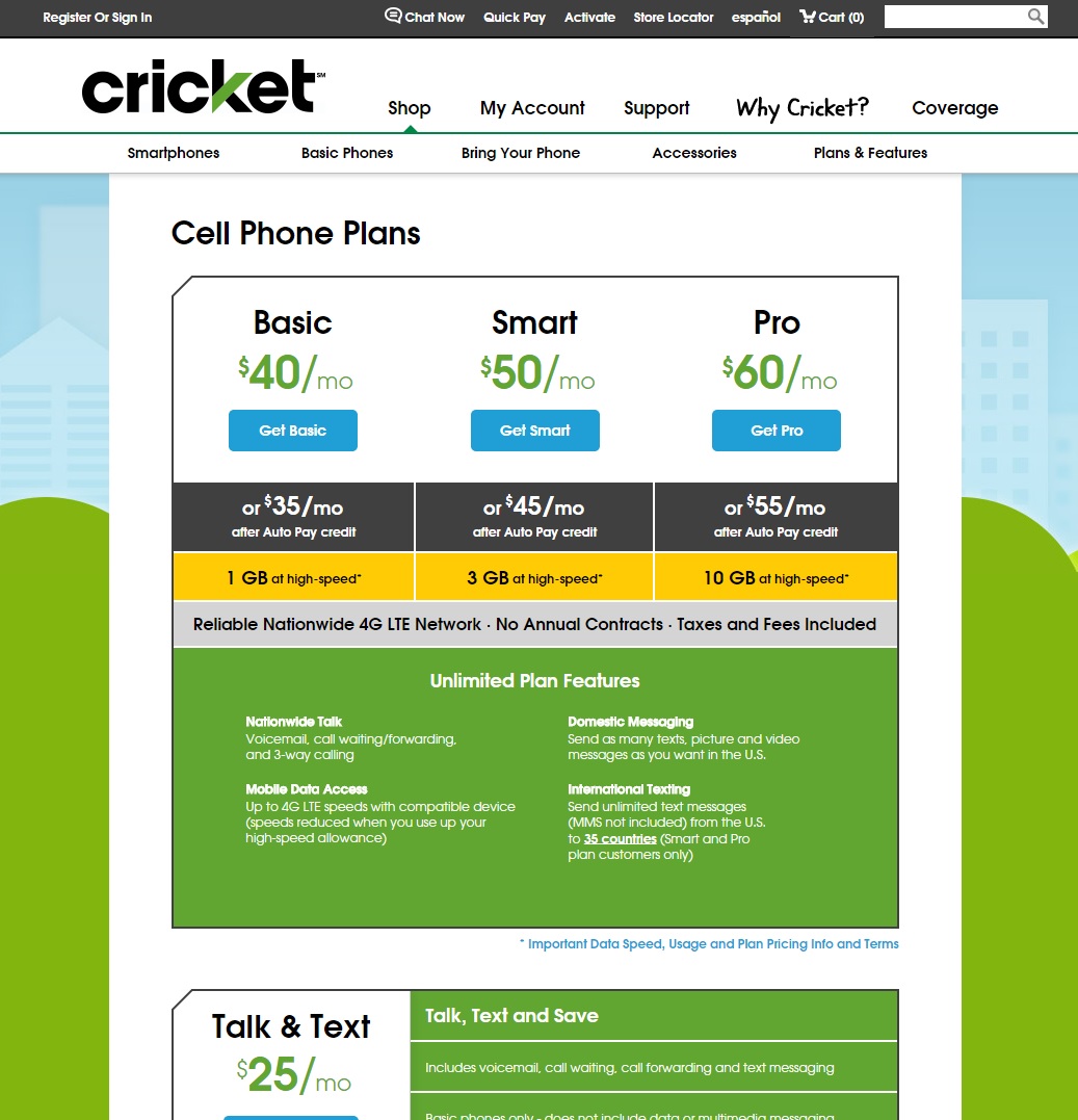cricket.jpg