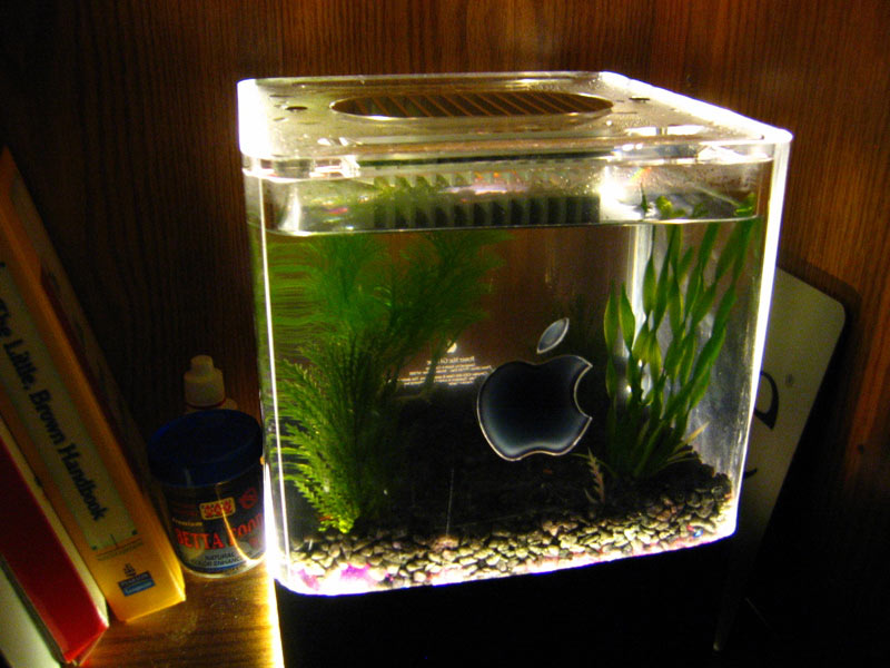 cubequarium.jpg
