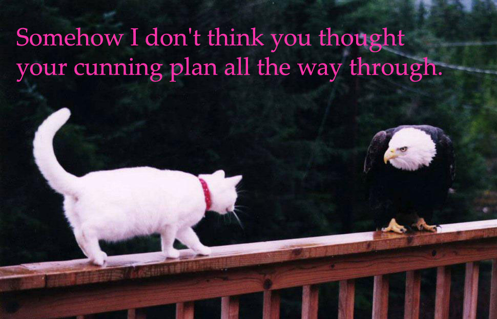 cunningplan6yp.jpg