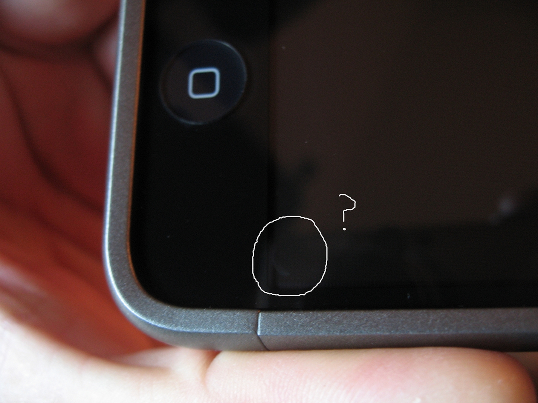 d.JPG