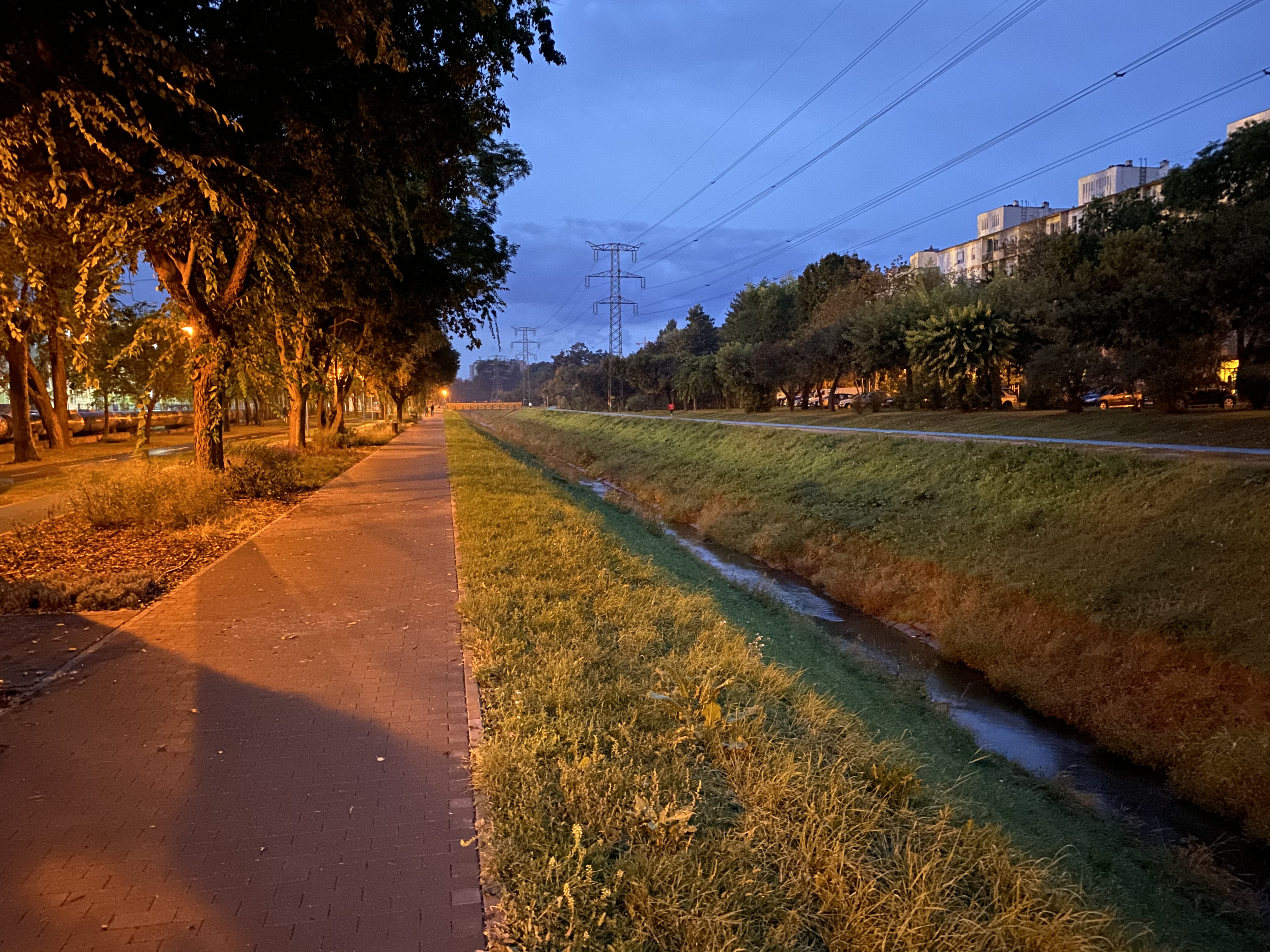 D207C616-C253-43C4-A63D-875386A3AC10.jpeg