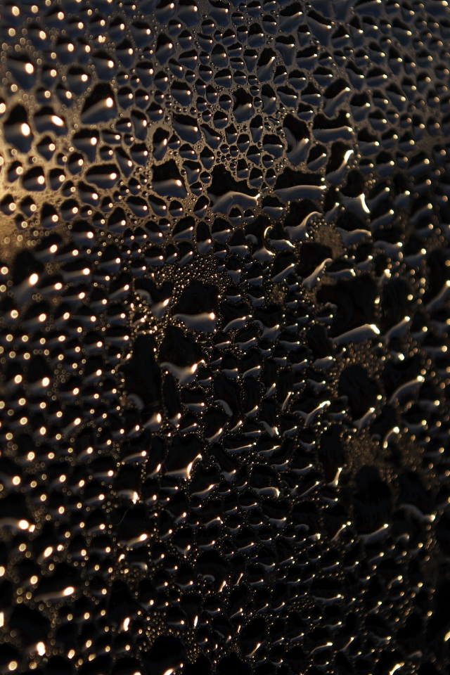 D60_0004073.jpg
