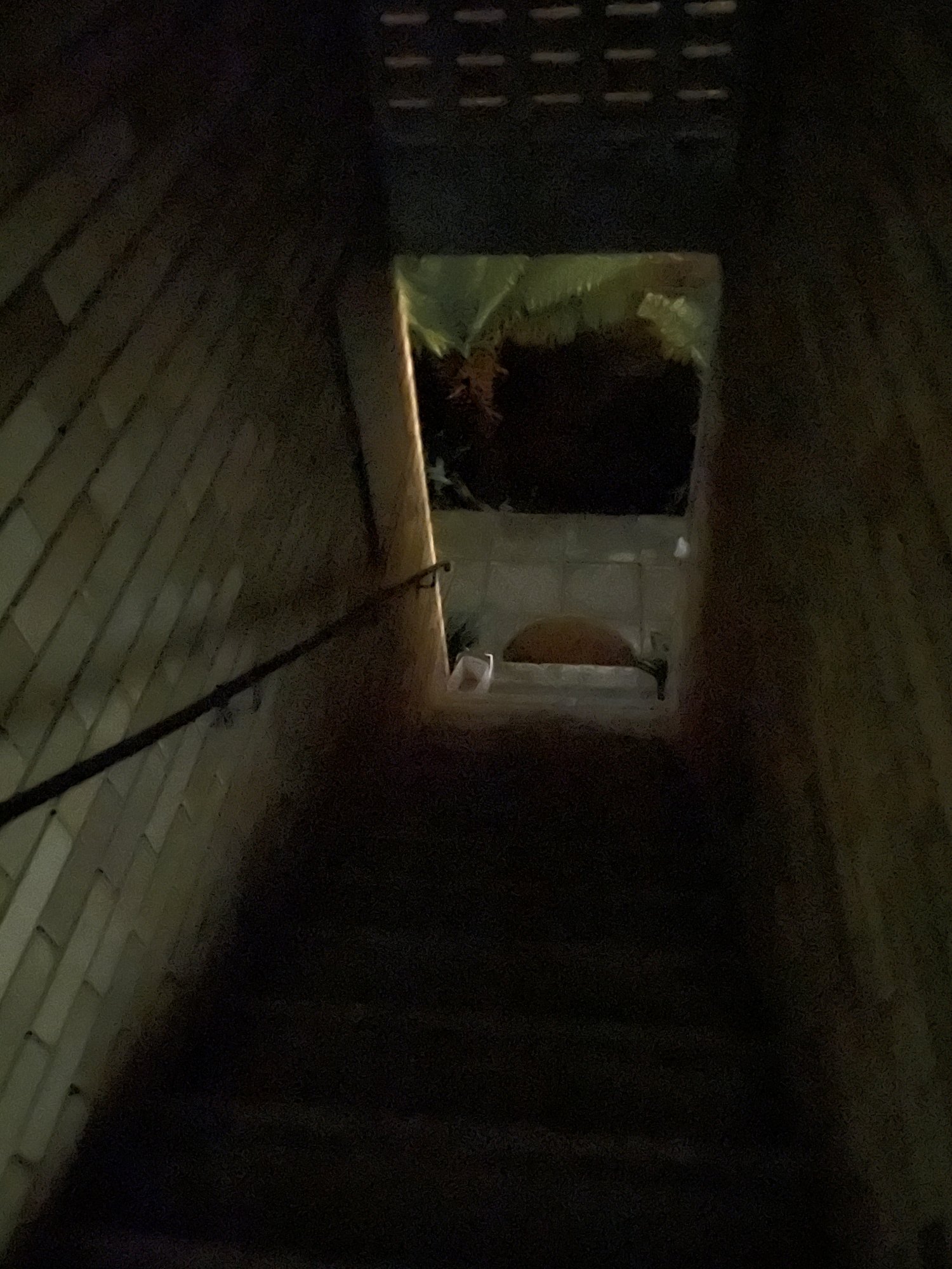 D6BE0C24-6193-4067-920C-D38491E2C335.jpeg