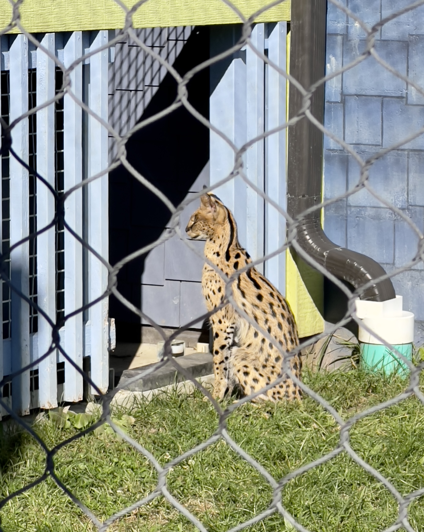 D9760030-8F0E-4BC4-980C-E919215D61E6.jpeg