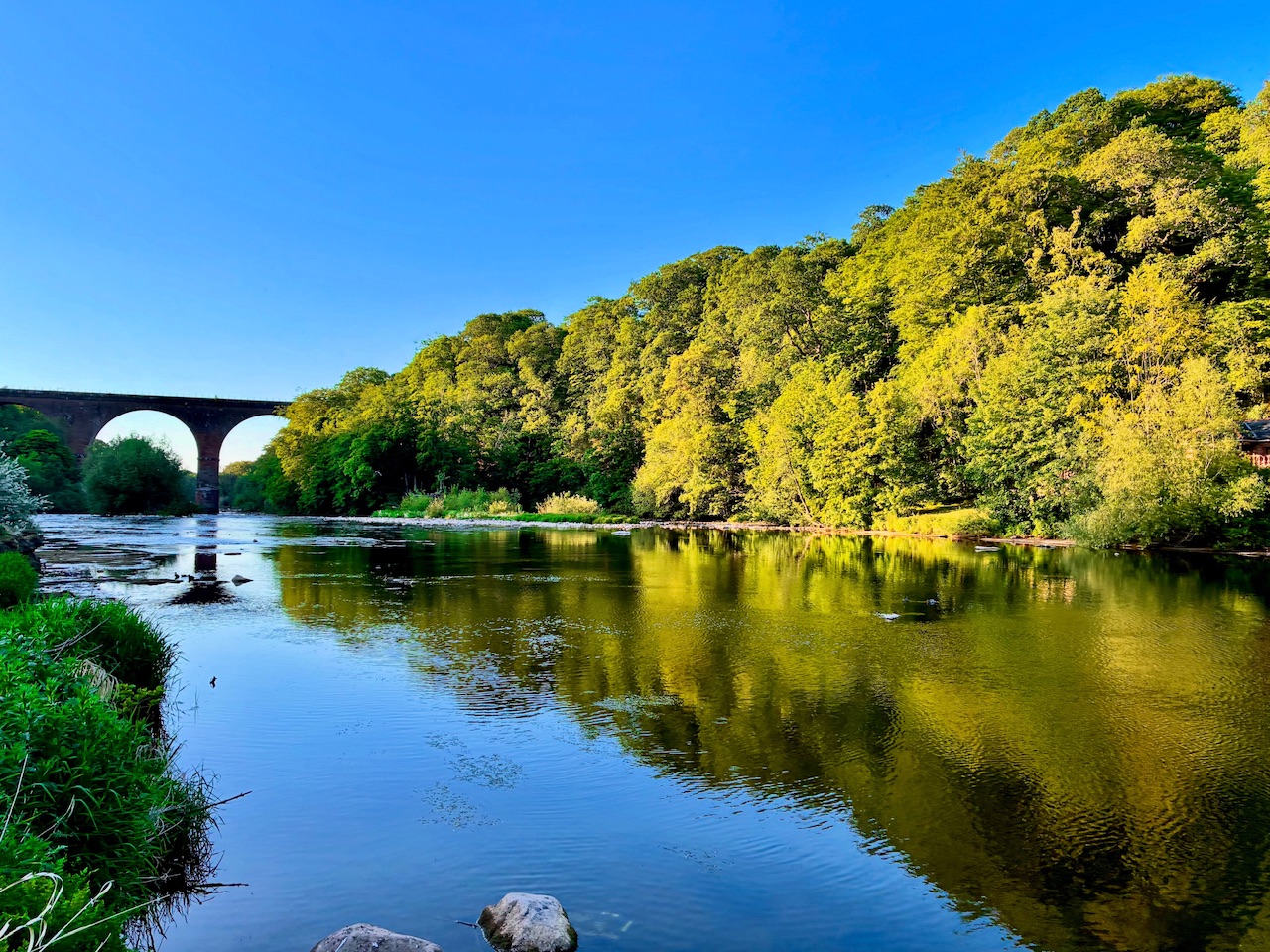 DA0A7070-AC24-4675-A853-8A52502166C8.jpeg