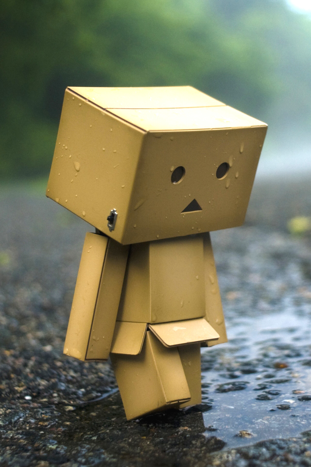 danbo.jpg