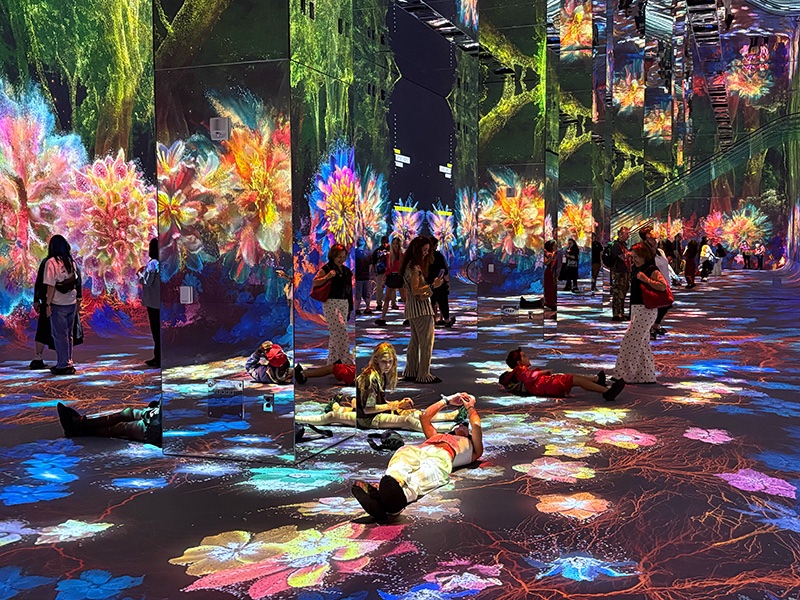 dataland.jpg