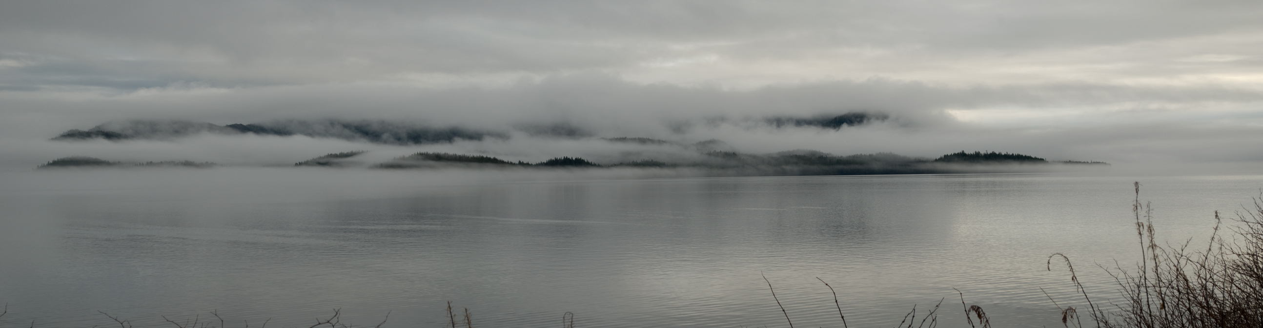 Dec-7-08-Misty-Morning.jpg