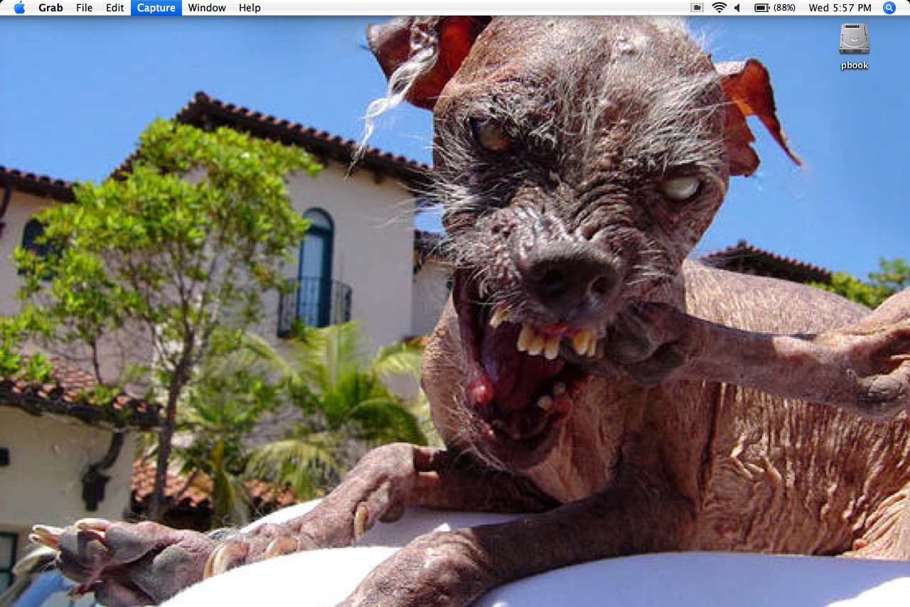 desktop.jpg