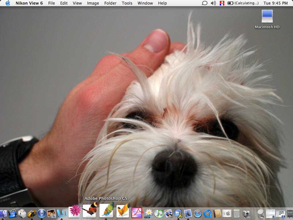desktop-light.jpg