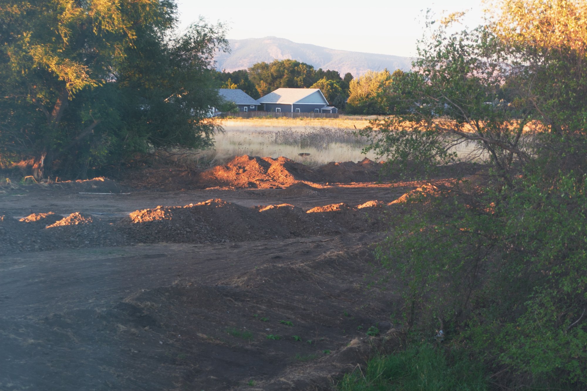 dirt - 1.jpeg