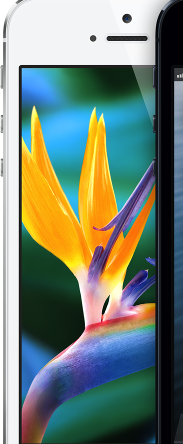 display_hero_2x.png