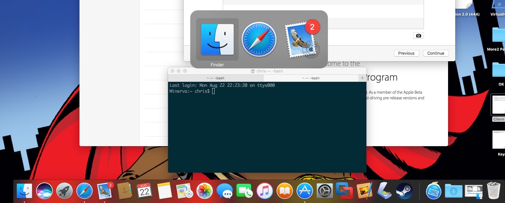 dock-bug-screenshot.jpeg