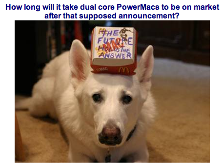 dog.png
