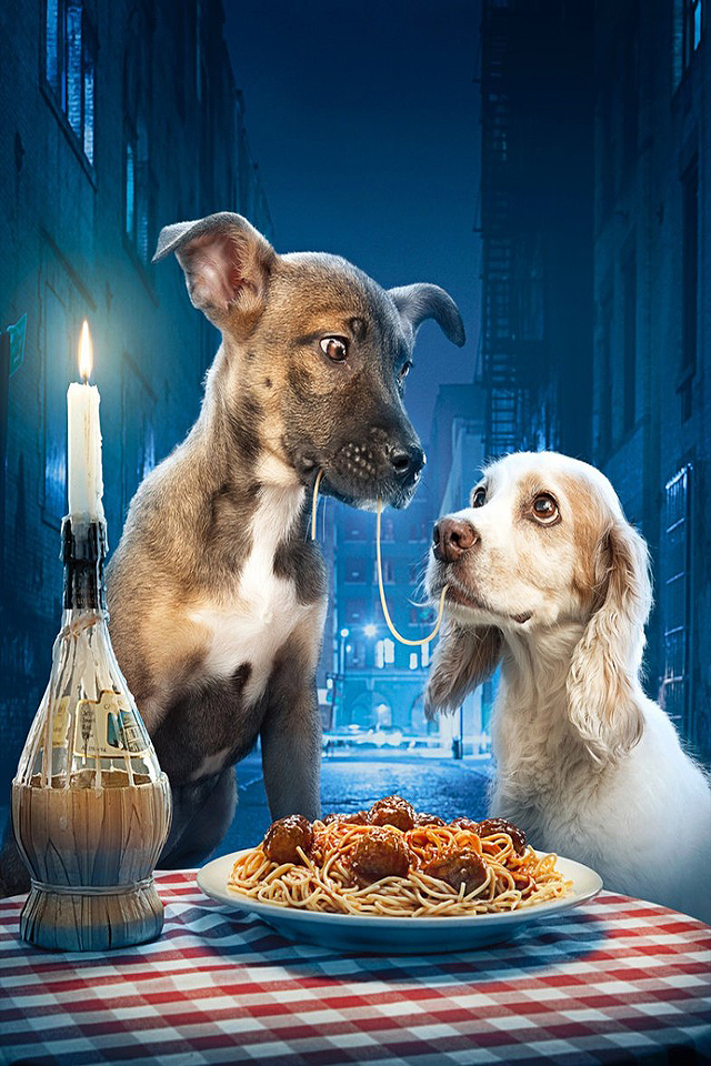 dogs_in_love_spaghetti.jpg