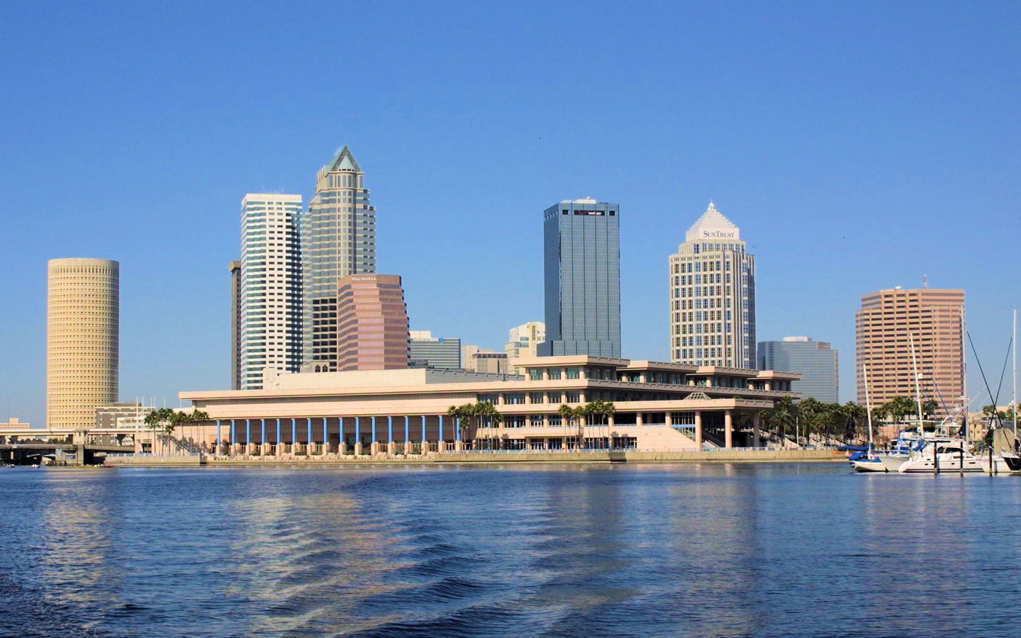 downtowntampa001.jpg