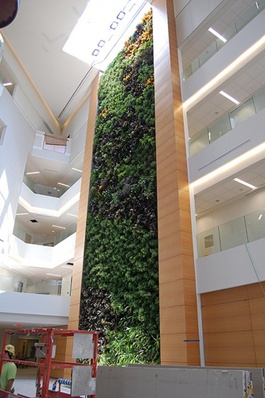 drexelbiowall.jpg