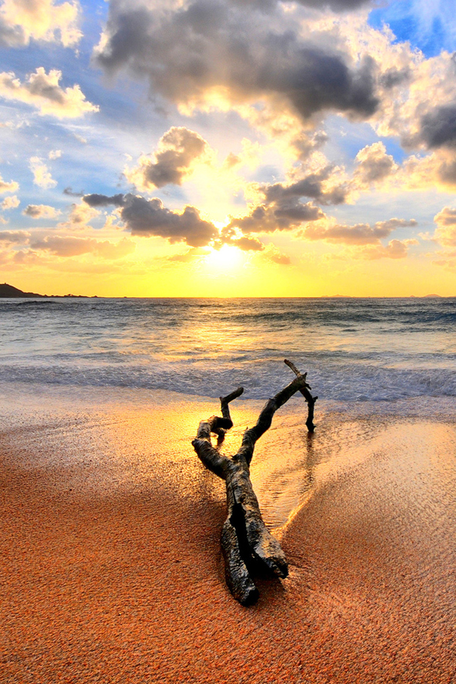 driftwood-iphone4.jpg