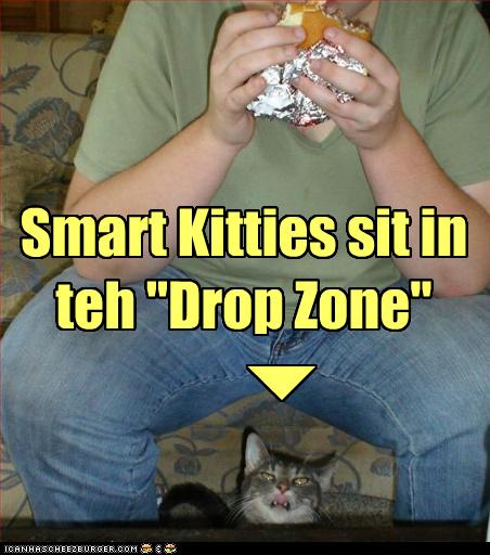 drop.jpg