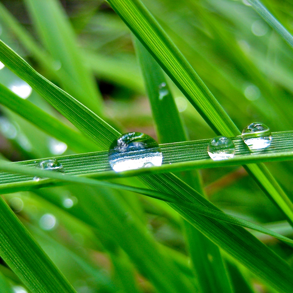drops-water.jpg
