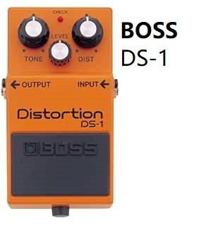DS-1_.jpg
